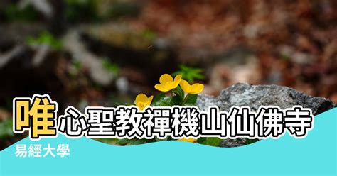 易經風水學院|易經大學@唯心聖教禪機山仙佛寺